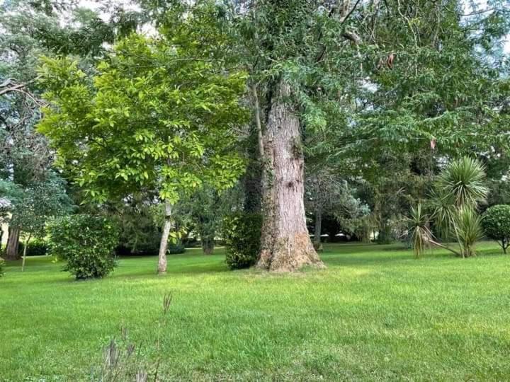 Bed and Breakfast Les Demeures De La Laigne Allas-Bocage Экстерьер фото