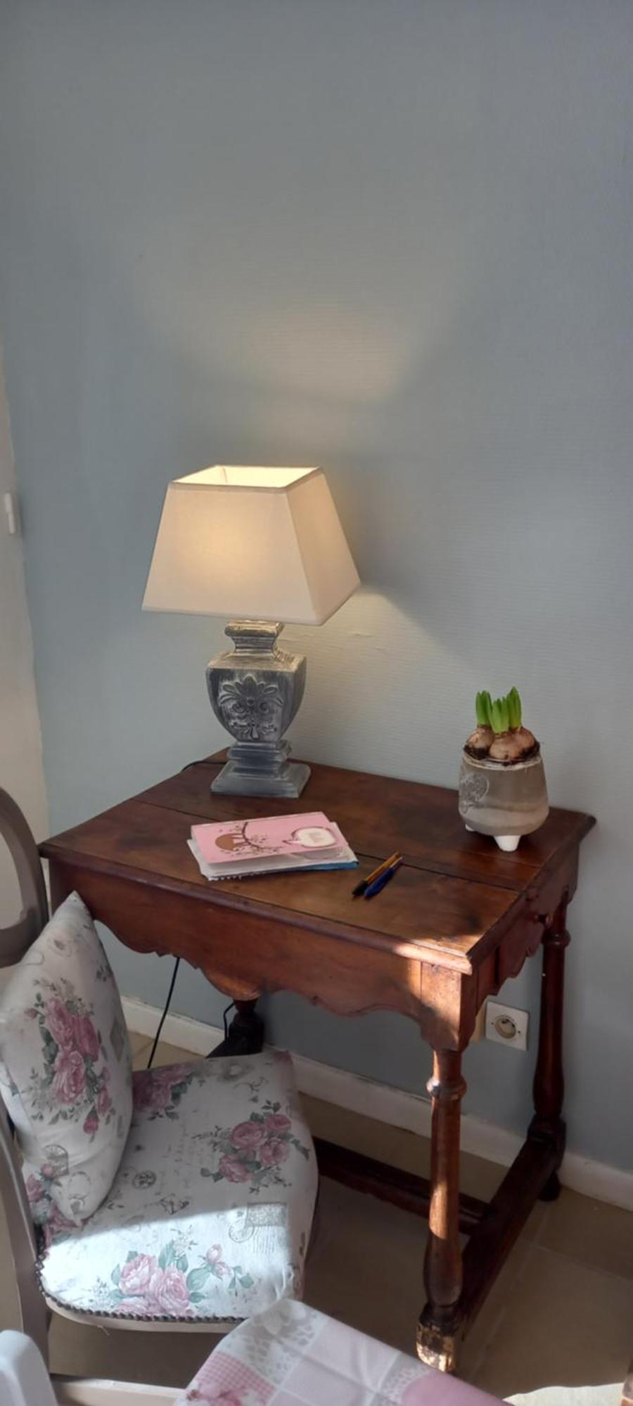 Bed and Breakfast Les Demeures De La Laigne Allas-Bocage Экстерьер фото