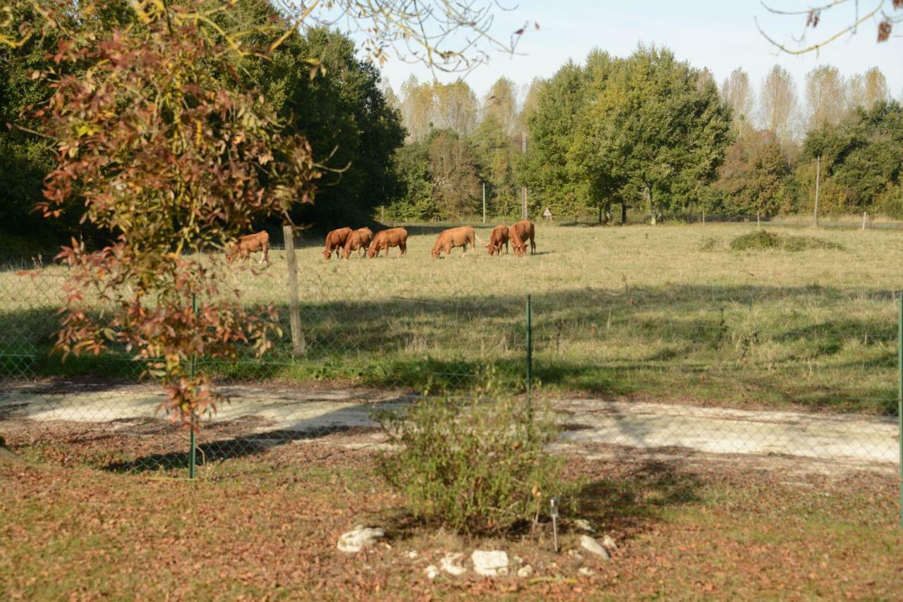 Bed and Breakfast Les Demeures De La Laigne Allas-Bocage Экстерьер фото